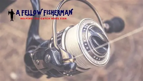 How to Go with the Right Web based Online casino Real Money Canada Site 6